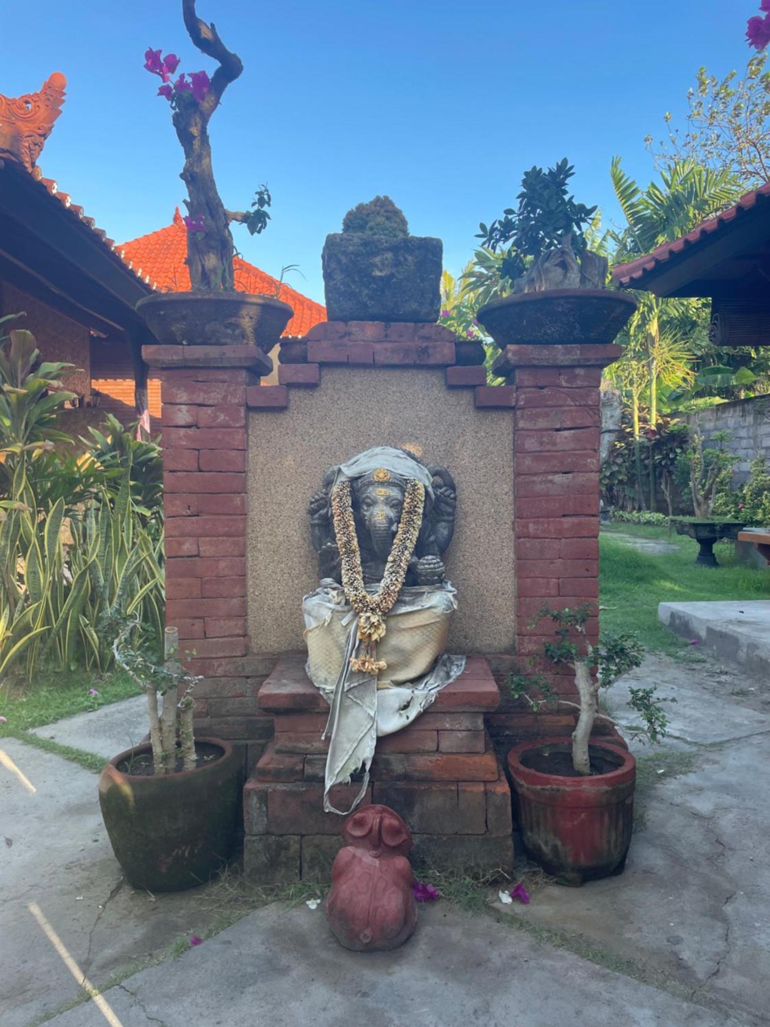 Tebu Menjangan Homestay Banyuwedang Buitenkant foto